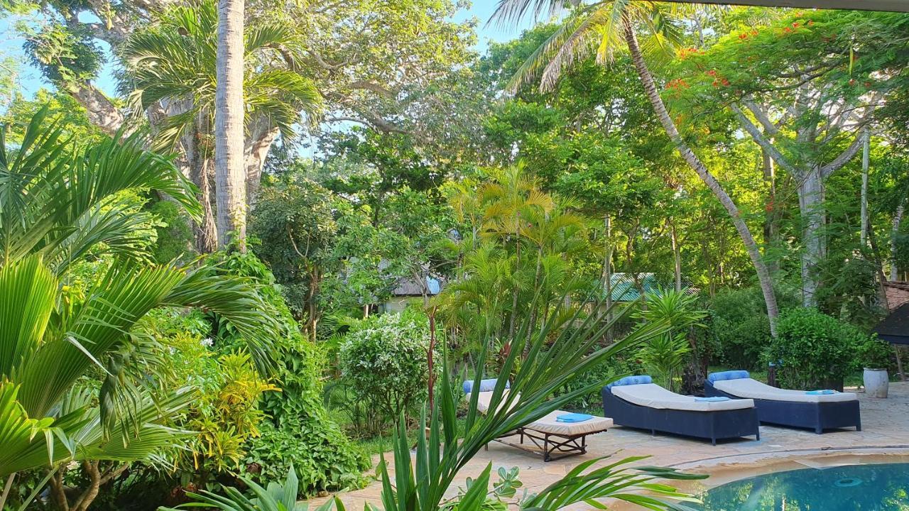 Mami Wata House Bed & Breakfast Kwale Dış mekan fotoğraf