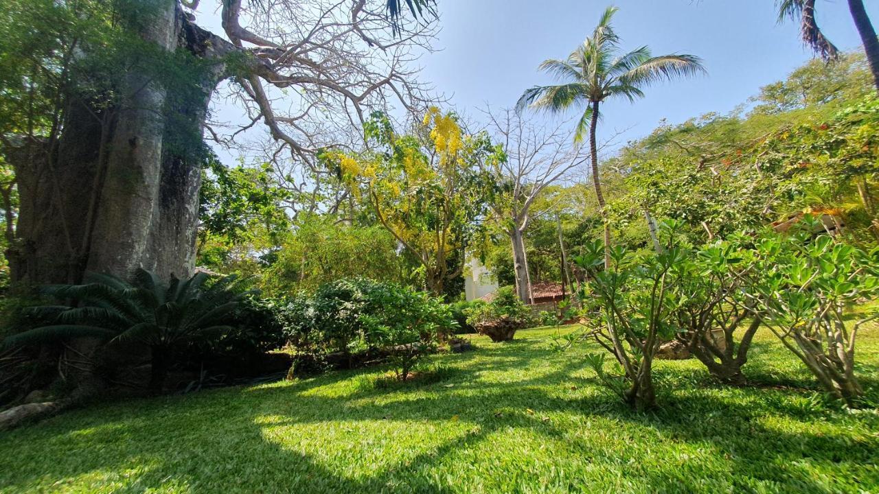 Mami Wata House Bed & Breakfast Kwale Dış mekan fotoğraf