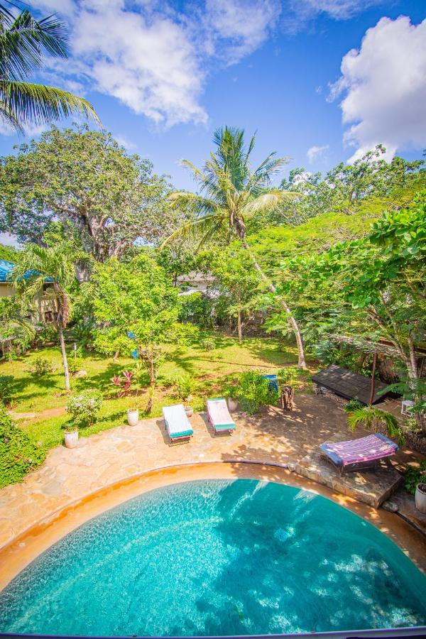 Mami Wata House Bed & Breakfast Kwale Dış mekan fotoğraf